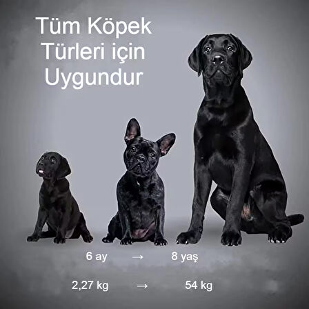 Ultrasonik Köpek Kovucu USB Şarjlı Güvenli ve Etkili Çözümle İstenmeyen Havlamalara Son