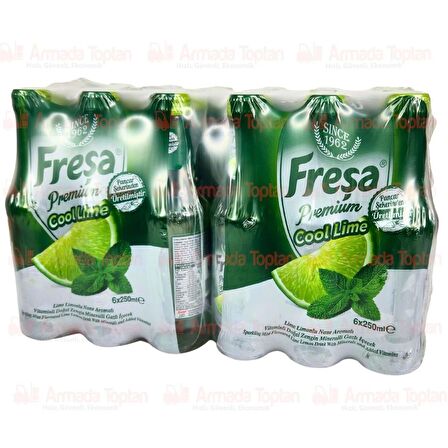 Freşa Premium Cool Lime Limonlu Nane Aromalı Maden Suyu 250 Ml X 24 Adet