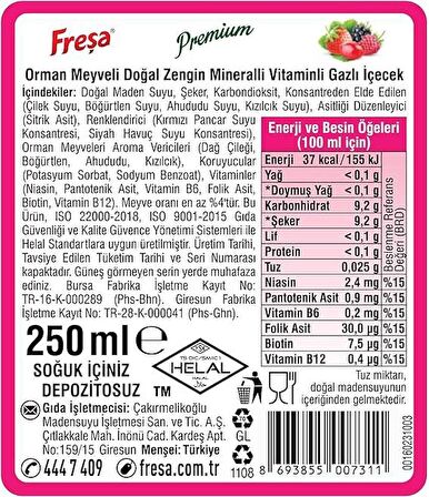 Freşa Premium Orman Meyveli Vitaminli Maden Suyu 250 Ml X 24 Adet