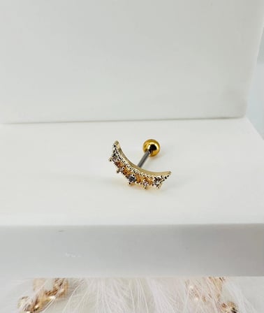 Zirkon Taşlı Uç Kısmı : Pirinç Kıkırdak Bar Uzunluğu : 6 Mm / Bar Kalınlığı 0.8 Mm / Top Boyu 3 Mm - Pt0003-1