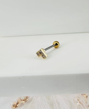 Zirkon Taşlı Uç Kısmı : Pirinç Kıkırdak Bar Uzunluğu : 6 Mm / Bar Kalınlığı 0.8 Mm / Top Boyu 3 Mm - Pt0008-1