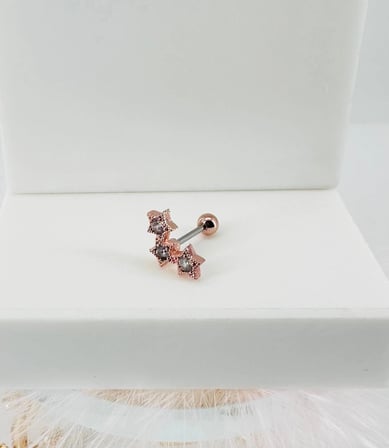 Rose Zirkon Taşlı Uç Kısmı : Pirinç Kıkırdak Bar Uzunluğu : 6 Mm / Bar Kalınlığı 0.8 Mm / Top Boyu 3 Mm - Pt0025-2