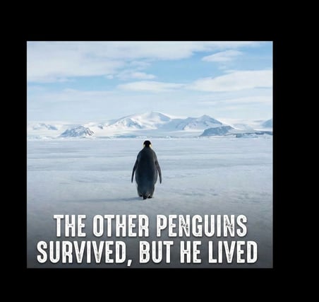 Erkek Survivor Penguin Baskılı 3 İplik Pamuklu Kapüşonlu Sweatshirt Hoodie Siyah