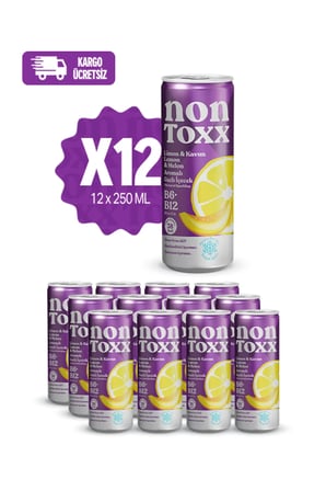 Nontoxx Limon & Kavun Aromalı Gazlı İçecek 250 ML