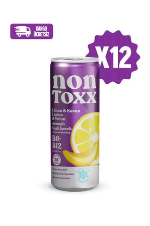 Nontoxx Limon & Kavun Aromalı Gazlı İçecek 250 ML
