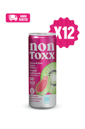 Guava & Kivi Aromalı Gazlı İçecek 250 ml 12 li Paket (Koli)