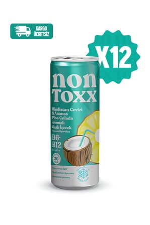 Nontoxx Hindistan Cevizi & Ananas Aromalı Gazlı İçecek 250 ML