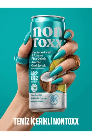 Nontoxx Hindistan Cevizi & Ananas Aromalı Gazlı İçecek 250 ML