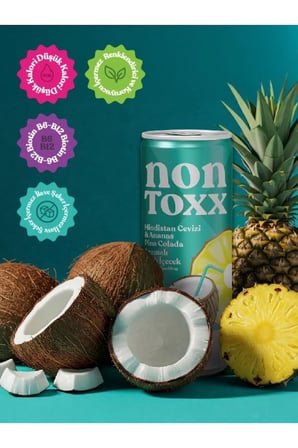 Nontoxx Hindistan Cevizi & Ananas Aromalı Gazlı İçecek 250 ML