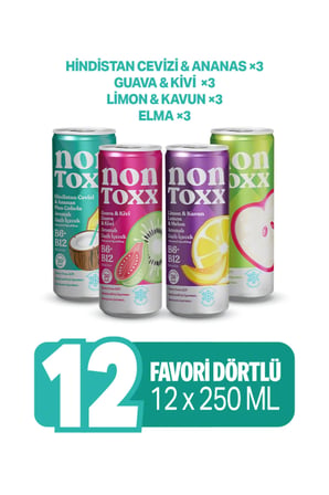 NonToxx Tanışma Paketi 250 ml x 3 adet (Hindistan Cevizi & Ananas Aroma, Guava &Kivi Aromalı, Limon