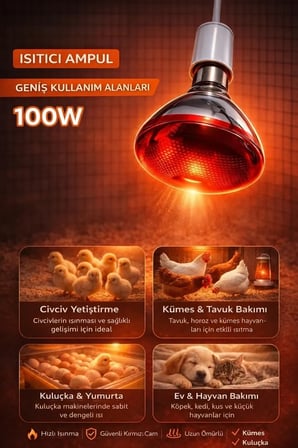 100w Isıtıcı Ampul Kırmızı Isı Lambası Civciv Kümes Kuluçka E27 Duy Isıtma Ampulü