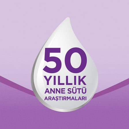 Prosyneo Devam Sütü No2 6-12 Ay 400 Gr