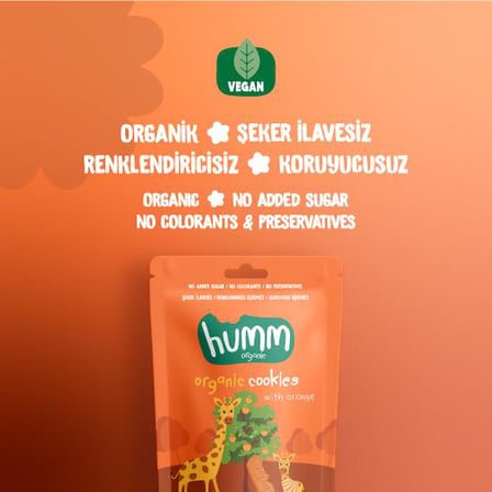 Organik Vegan Portakallı Kurabiye 55 Gr