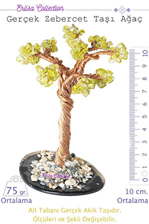 Zebercet (Peridot) Taşı Ağaç - Akik Plakalı obje