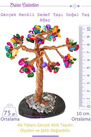 Sertifikalı Gerçek Multicolor Sedef Doğal Taşı Ağaç - Akik Plakalı
