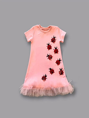 1-2-3 Yaş Uğur Böceği Nakışlı Fırfır Uçlu Kız Çocuk Jile Elbisesi Pudra