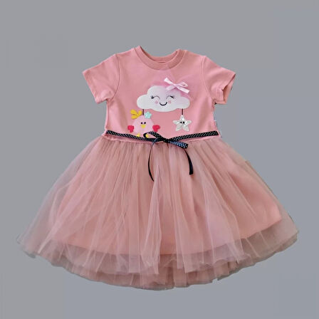 1-2-3 Yaş Tül Tokalı Bulut Civciv Ve Yıldız Nakışlı Kız Bebek Elbisesi Gül Kurusu