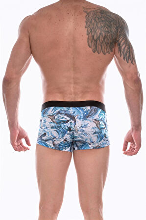 Erkek Desenli Boxer