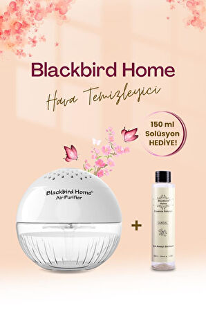 BlackBird Home Işıklı Hava Temizleme Küresi ve 150 ml Hava Temizleyici Esans HEDİYE!