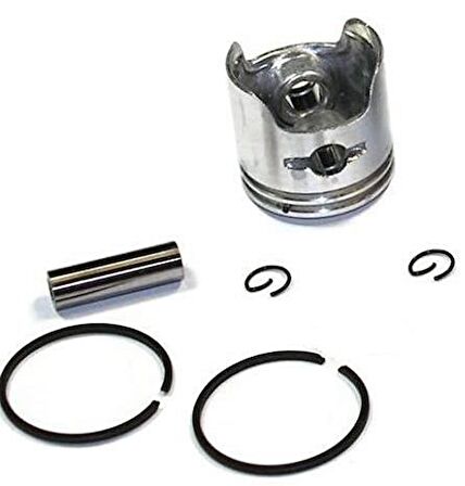 Palmera SLP600S  Çit Biçme Piston Set