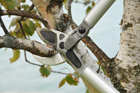 Felco 231 Kalın Dal Budama Makası