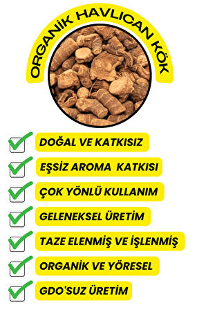 Havlıcan Kök 50GR