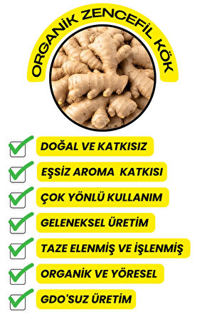 Zencefil Kök 25GR