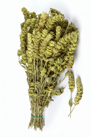 Adaçayı Demet 75GR