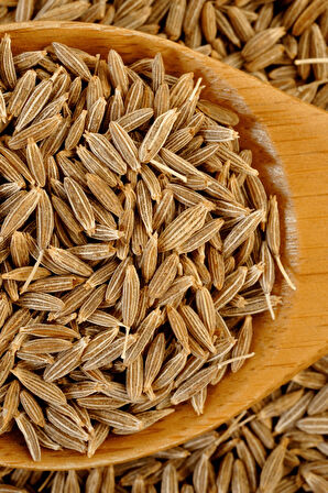 Kimyon Tohumu Tane 1000GR