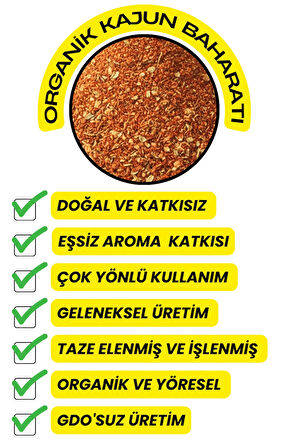 Kajun Baharatı 100GR