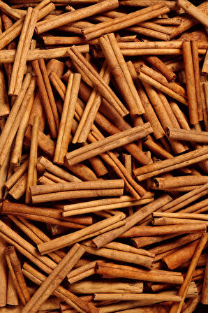 Organik Çubuk Tarçın 100GR