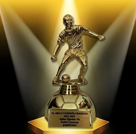 AYYILDIZ BAYRAKÇILIK FUTBOL ÖDÜL KUPASI / GOLD / 26CM