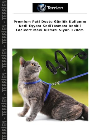 Premium Pati Dostu Günlük Kullanım Kedi Eşyası KediTasması Renkli Lacivert Mavi Kırmızı Siyah 120cm