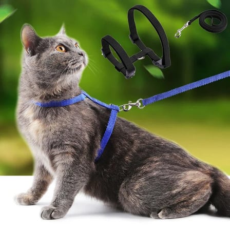 Premium Pati Dostu Günlük Kullanım Kedi Eşyası KediTasması Renkli Lacivert Mavi Kırmızı Siyah 120cm