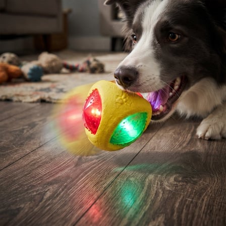Premium Sevimli Hareket Dost Işıklı Köpek Isırma Topu - Sesli Oyuncak