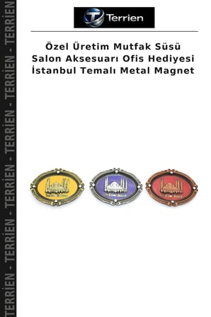 Özel Üretim Mutfak Süsü Salon Aksesuarı Ofis Hediyesi İstanbul Temalı Metal Magnet