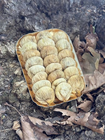 KURU AYDIN GERMENCİK DAĞ İNCİRİ 500GR TABAK 