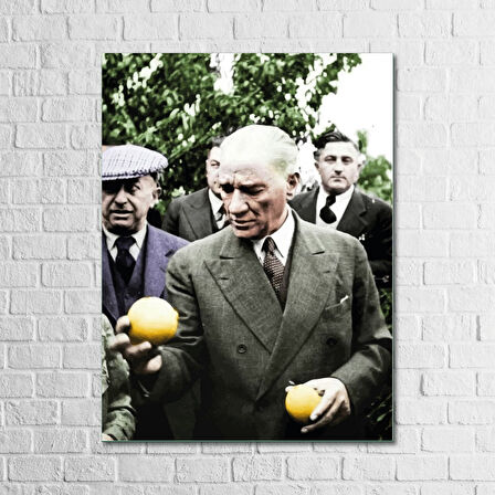 Atatürk Fotoğrafları Tablo 13 x18 Cm 10 lu Ahşap Tablo Seti