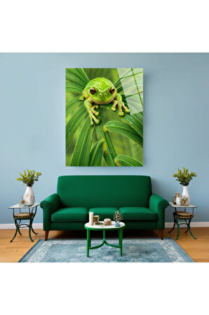 Yeşil Gözlü Kedi Cam Tablo | Dayanıklı Temperli Cam