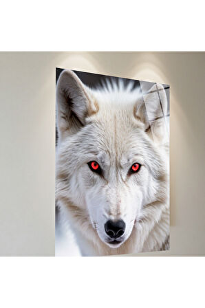 Pitbul Cam Tablo | Dayanıklı Temperli Cam