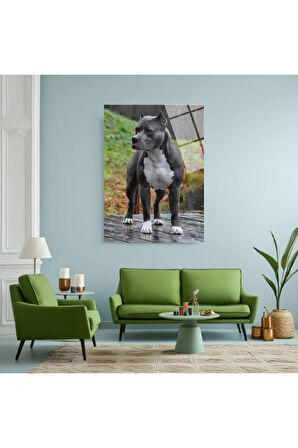 Kaplan Cam Tablo | Dayanıklı Temperli Cam