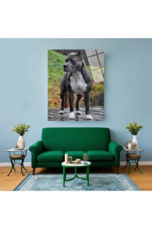 Kaplan Cam Tablo | Dayanıklı Temperli Cam