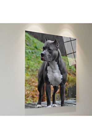 Kaplan Cam Tablo | Dayanıklı Temperli Cam