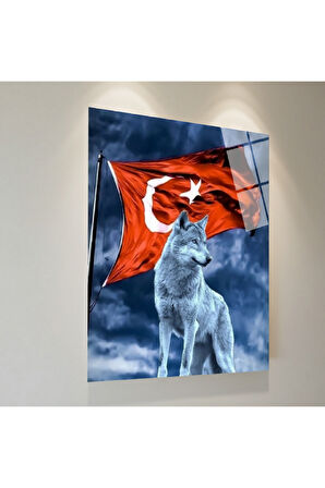 Pitbul Cam Tablo | Dayanıklı Temperli Cam