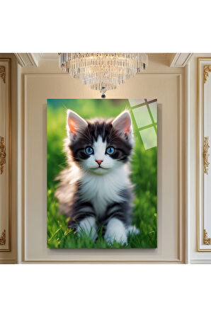 Kurt Cam Tablo | Dayanıklı Temperli Cam 