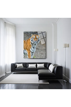 Dala Tutunan Kurbağa Cam Tablo | Dayanıklı Temperli Cam