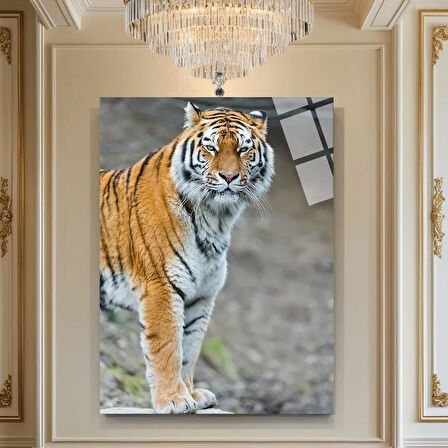 Dala Tutunan Kurbağa Cam Tablo | Dayanıklı Temperli Cam