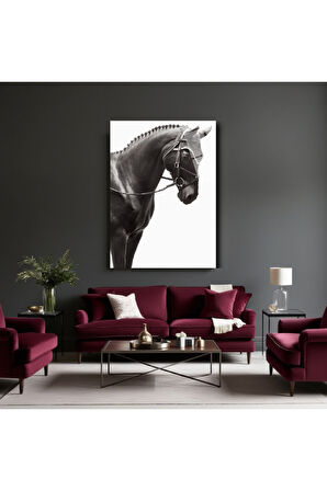 Hayvan Fotoğrafları Cam Tablo | Dayanıklı Temperli Cam