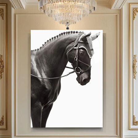 Hayvan Fotoğrafları Cam Tablo | Dayanıklı Temperli Cam