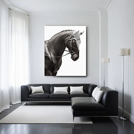 Hayvan Fotoğrafları Cam Tablo | Dayanıklı Temperli Cam